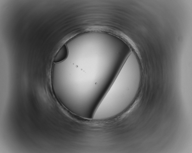 X0000099451041200805090723