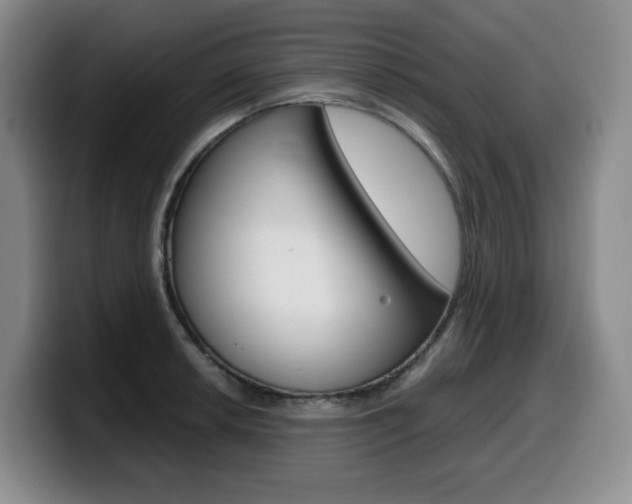 X0000099451042200805090723