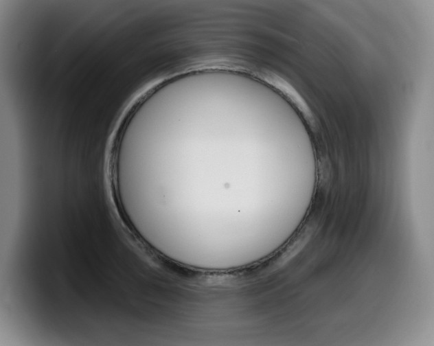 X0000099451043200805090723