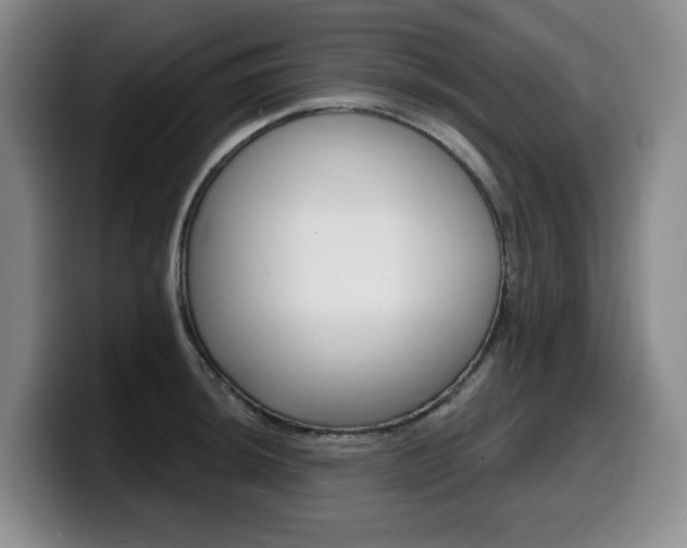 X0000099451044200805090723