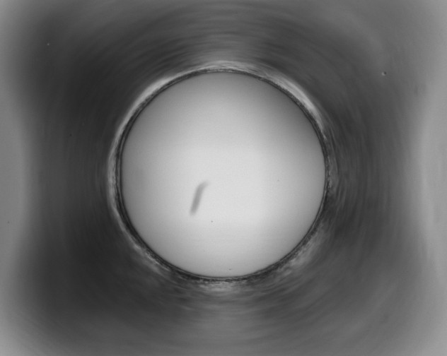 X0000099451048200805090723