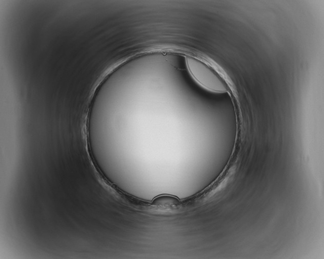 X0000099451049200805090723