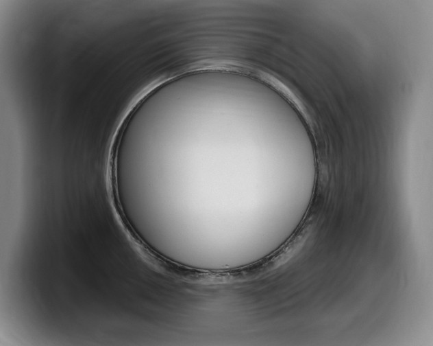 X0000099451050200805090723