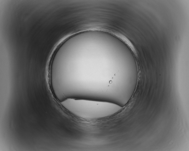 X0000099451051200805090723