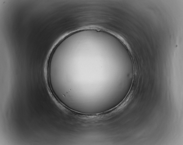 X0000099451054200805090723