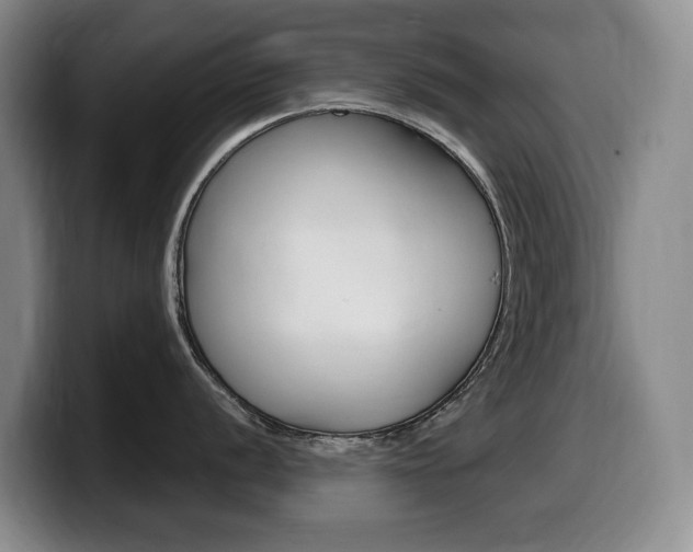 X0000099451056200805090723