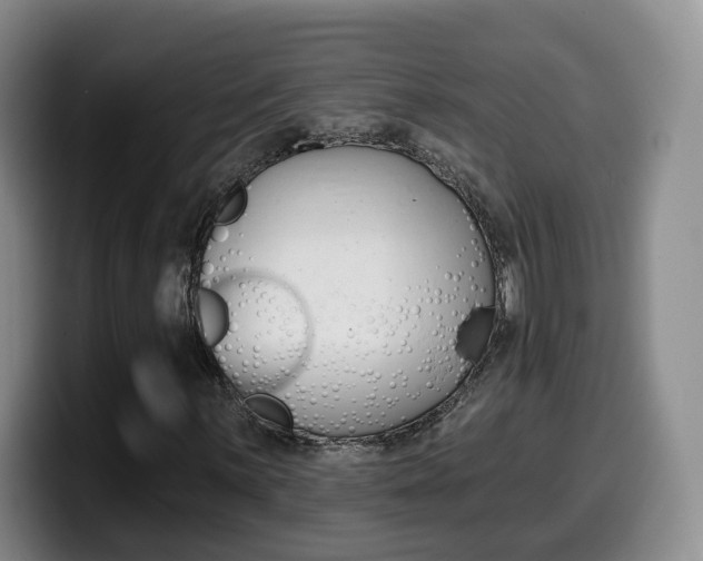 X0000099451059200805090723