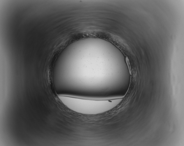 X0000099451060200805090723