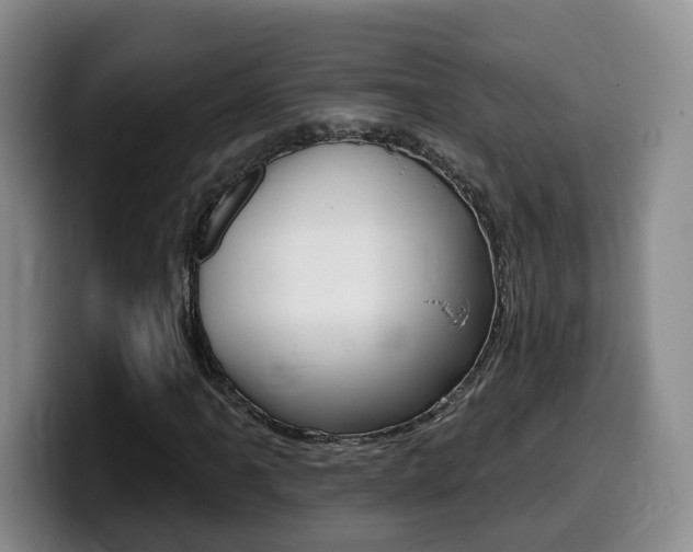 X0000099451061200805090723