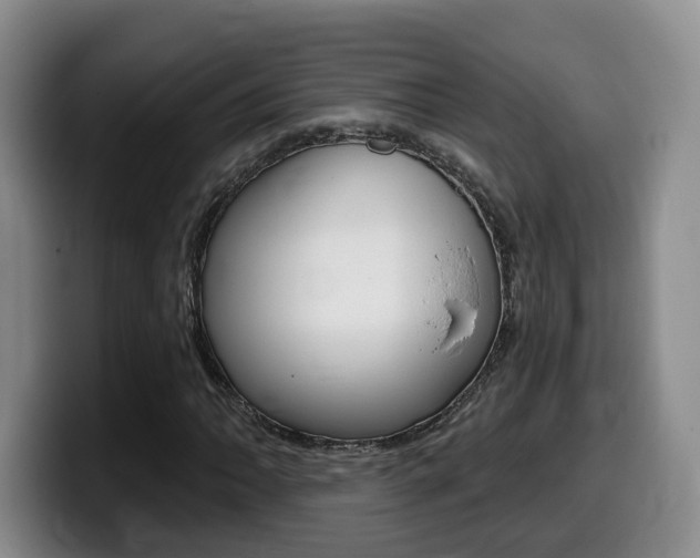 X0000099451062200805090723