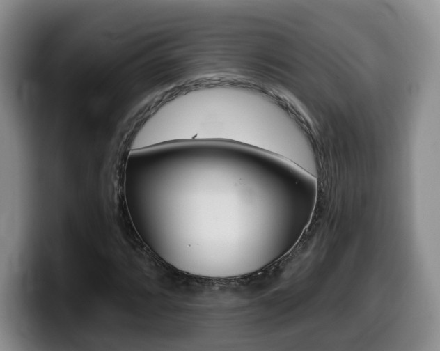 X0000099451064200805090723