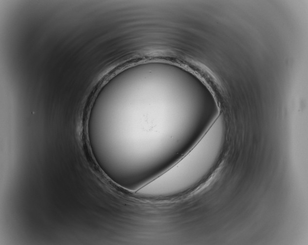 X0000099451065200805090723