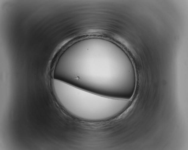X0000099451066200805090723