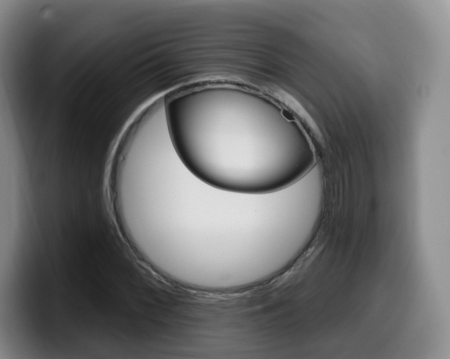 X0000099451068200805090723