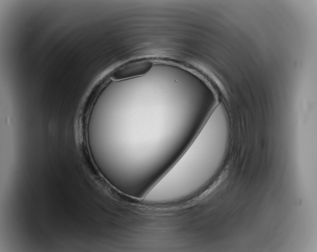 X0000099451069200805090723