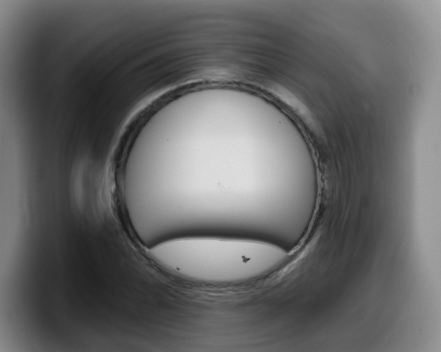 X0000099451070200805090723