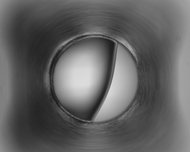 X0000099451072200805090723