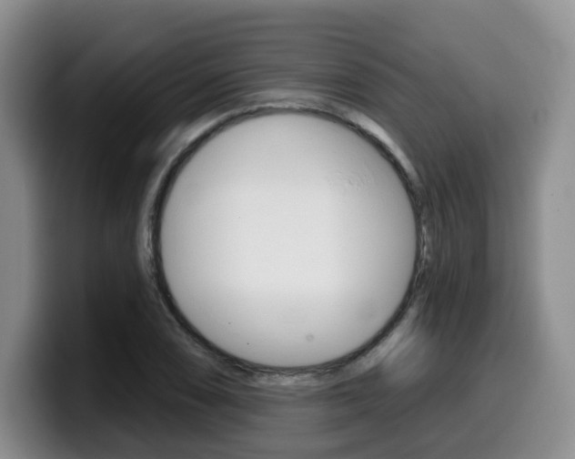 X0000099451074200805090723