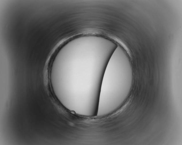 X0000099451075200805090723