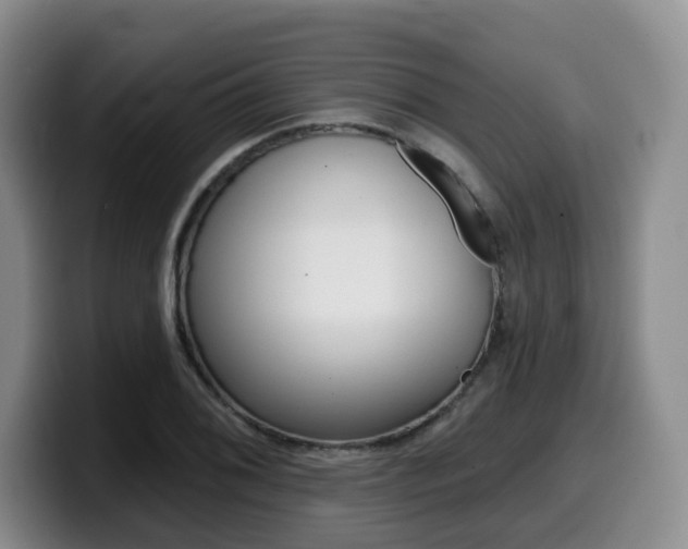 X0000099451076200805090723