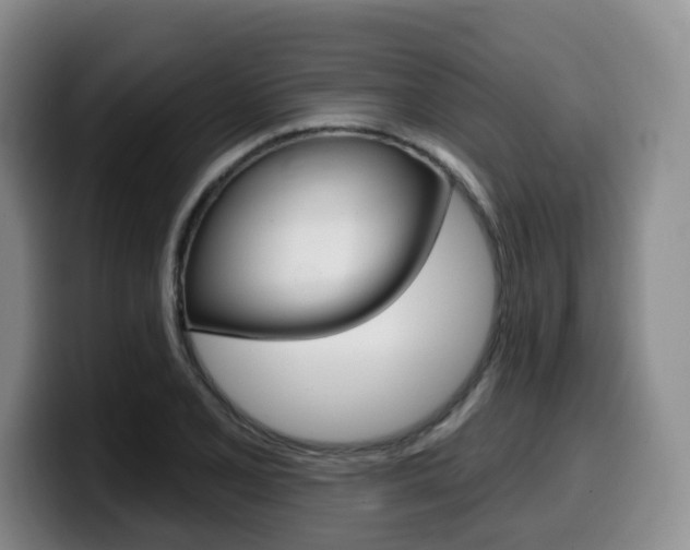 X0000099451077200805090723