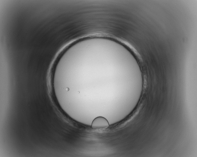 X0000099451078200805090723