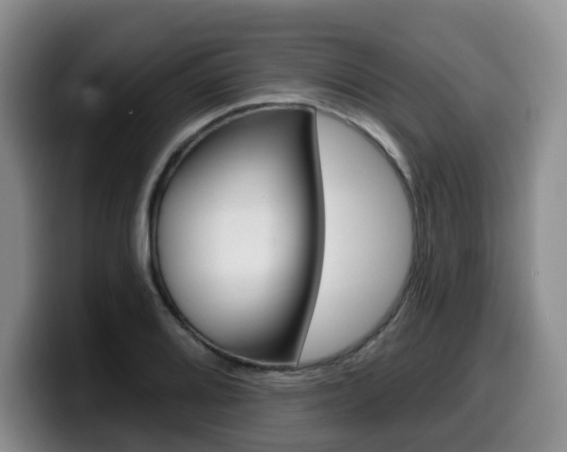 X0000099451080200805090723