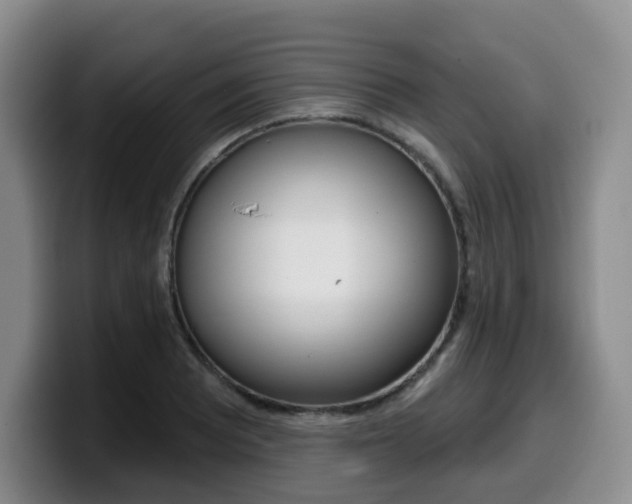 X0000099451081200805090723