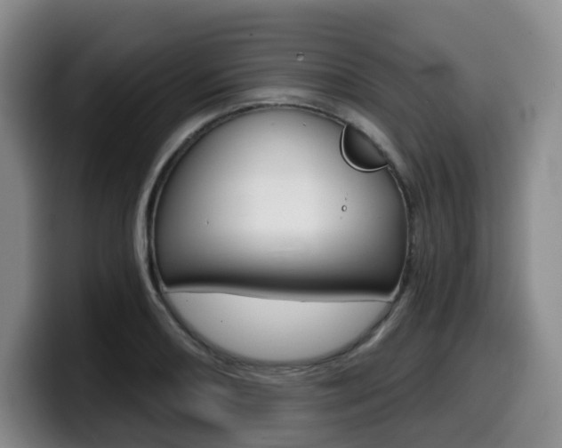 X0000099451082200805090723