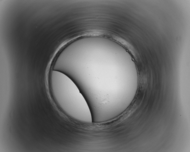 X0000099451083200805090723