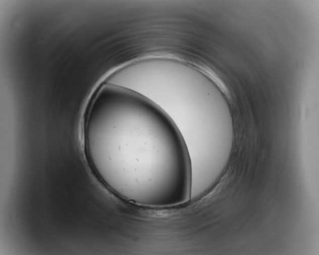 X0000099451084200805090723