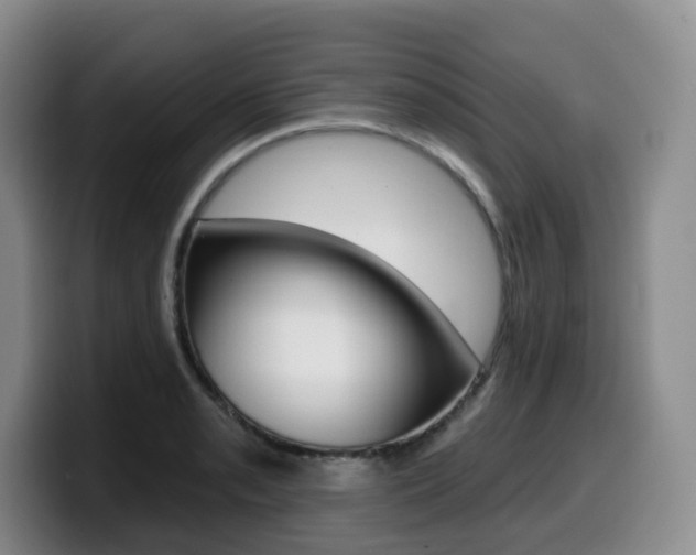 X0000099451085200805090723