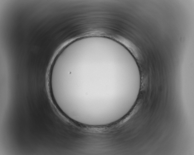 X0000099451086200805090723