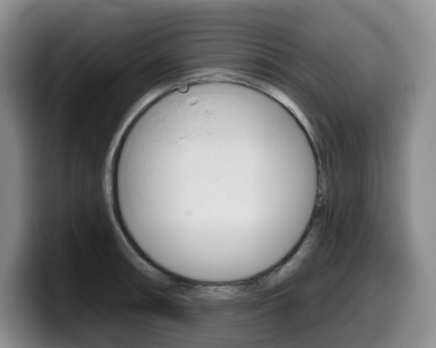 X0000099451090200805090722