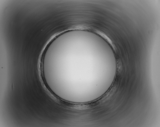 X0000099451091200805090722