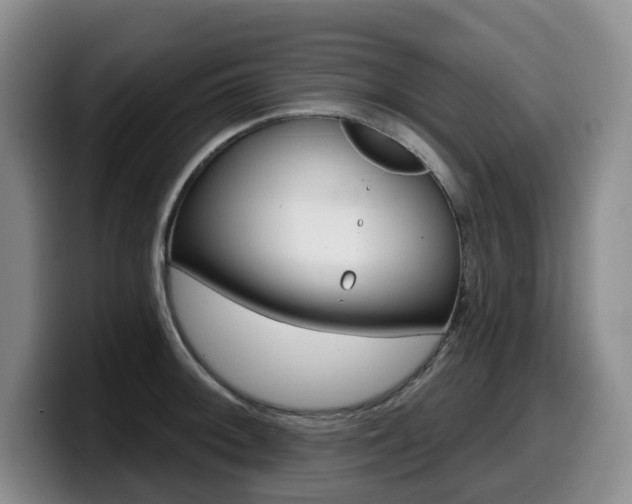X0000099451092200805090722