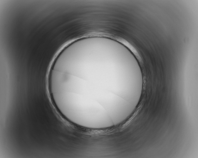 X0000099451094200805090722