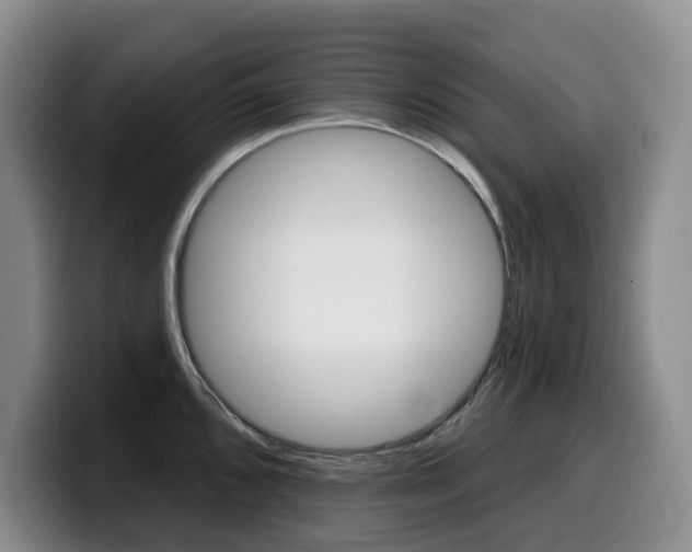 X0000099451096200805090722