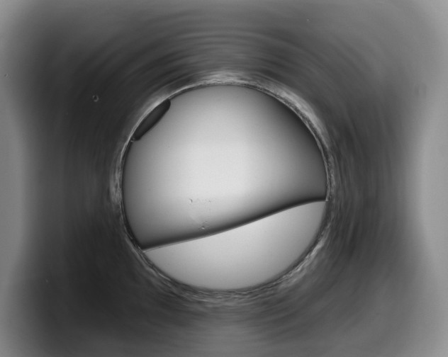 X0000099451097200805090722