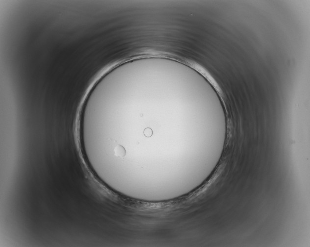 X0000099451098200805090722