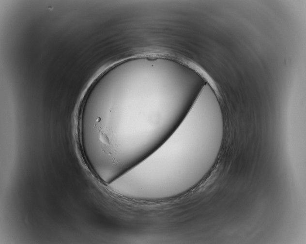 X0000099451099200805090722