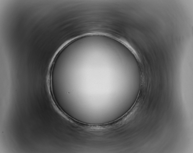 X0000099451100200805090722