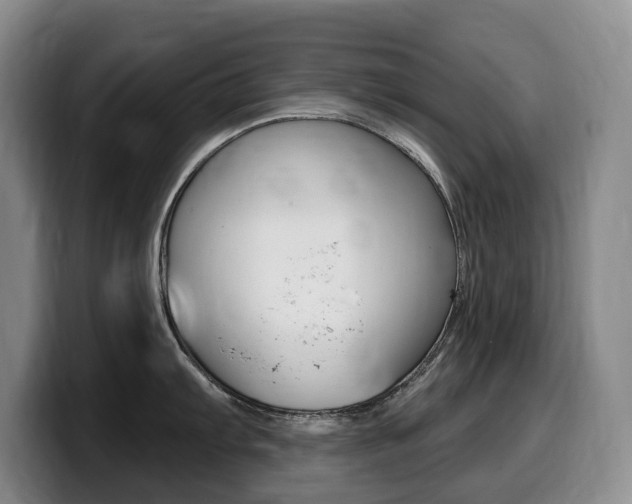X0000099451103200805090722