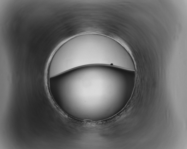 X0000099451104200805090722