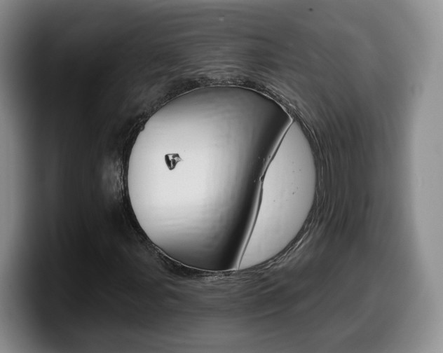 X0000099451107200805090722
