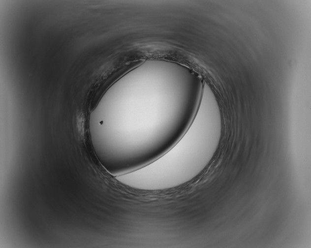 X0000099451108200805090722