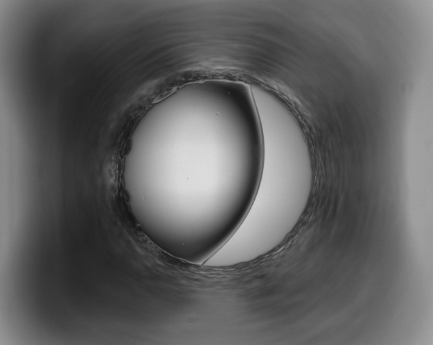 X0000099451110200805090722