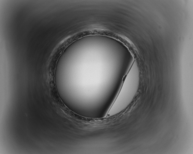 X0000099451112200805090722