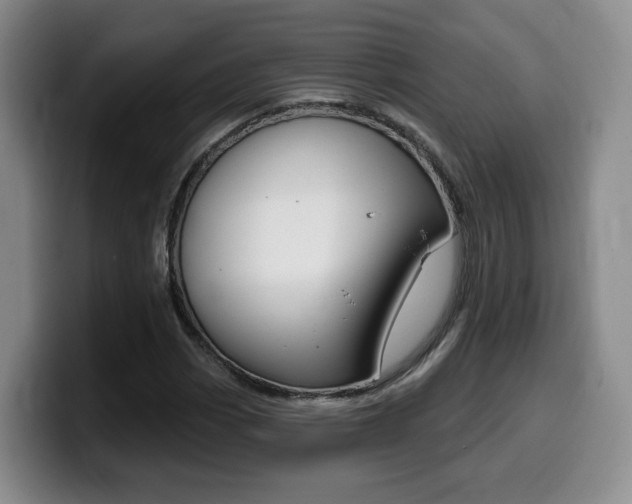 X0000099451113200805090722