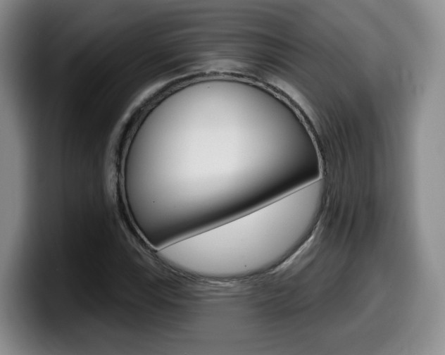 X0000099451115200805090722